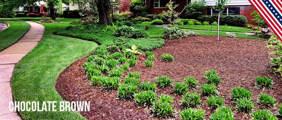 Chocolate Brown Dyed Mulch