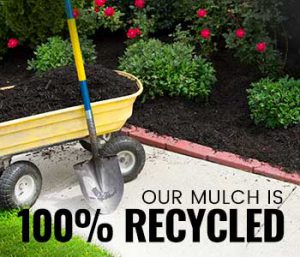 When to Mulch in Ohio