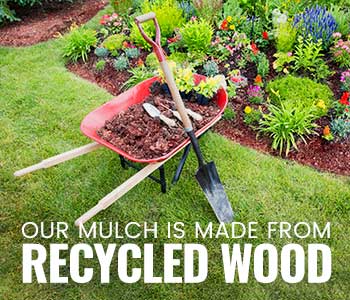 When to replace mulch