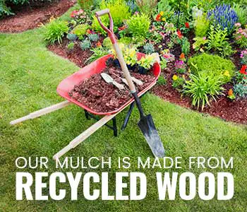 When to replace mulch
